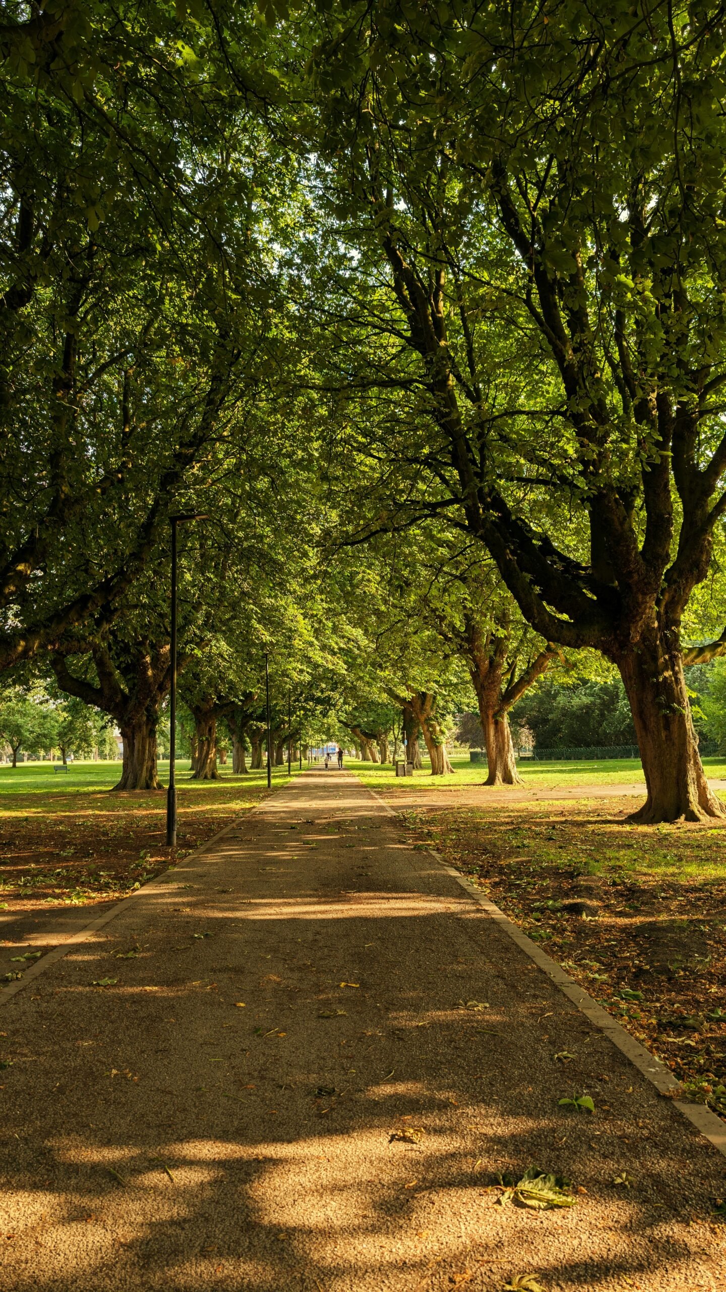 Free things to do with kids