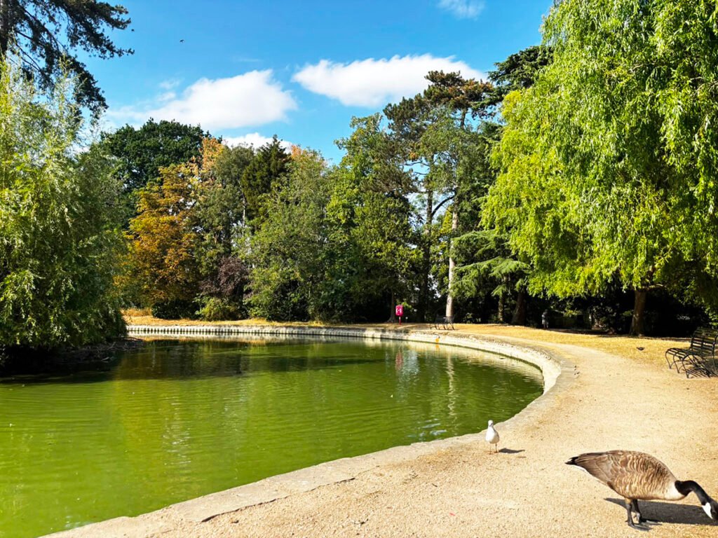 bedford park