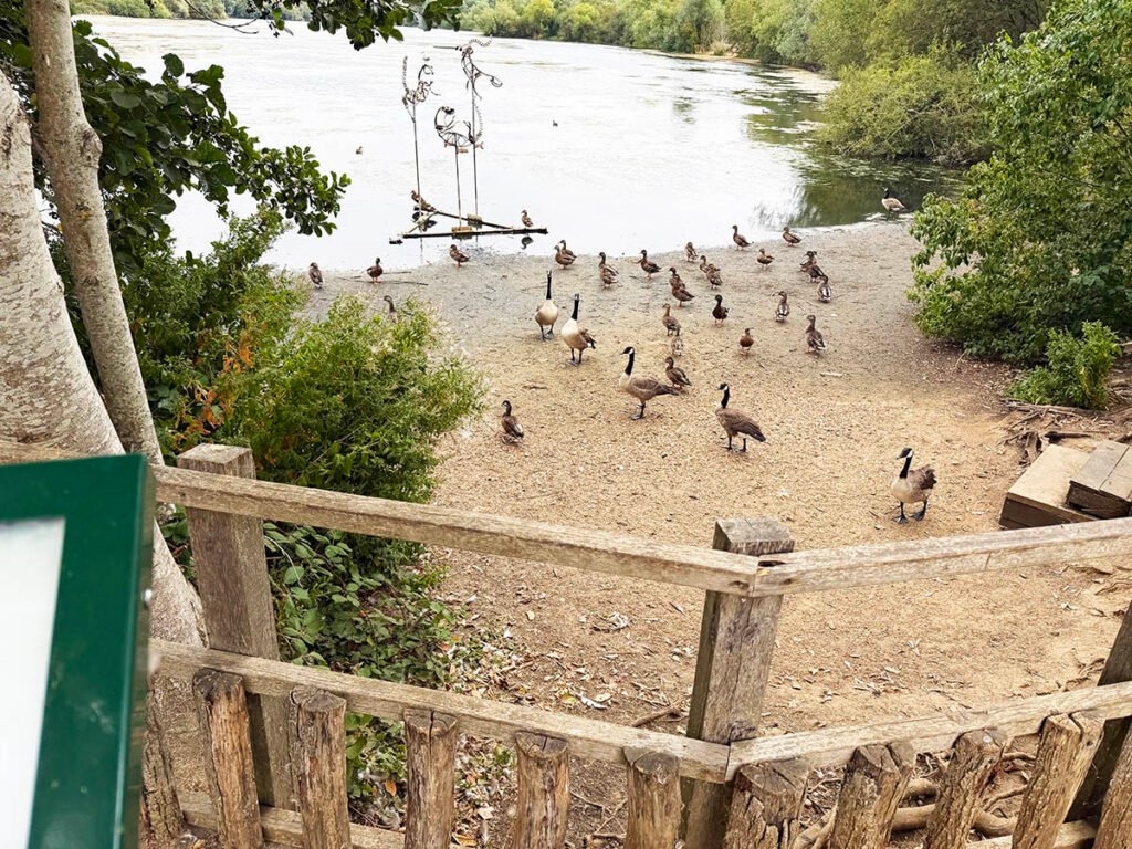 Harrold-Odell Country Park