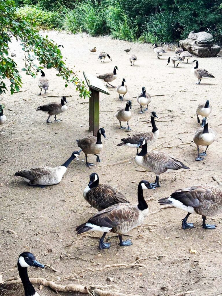 Priory Country Park