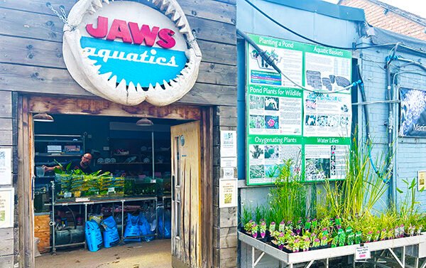 Jaws Aquatics e1785700998722