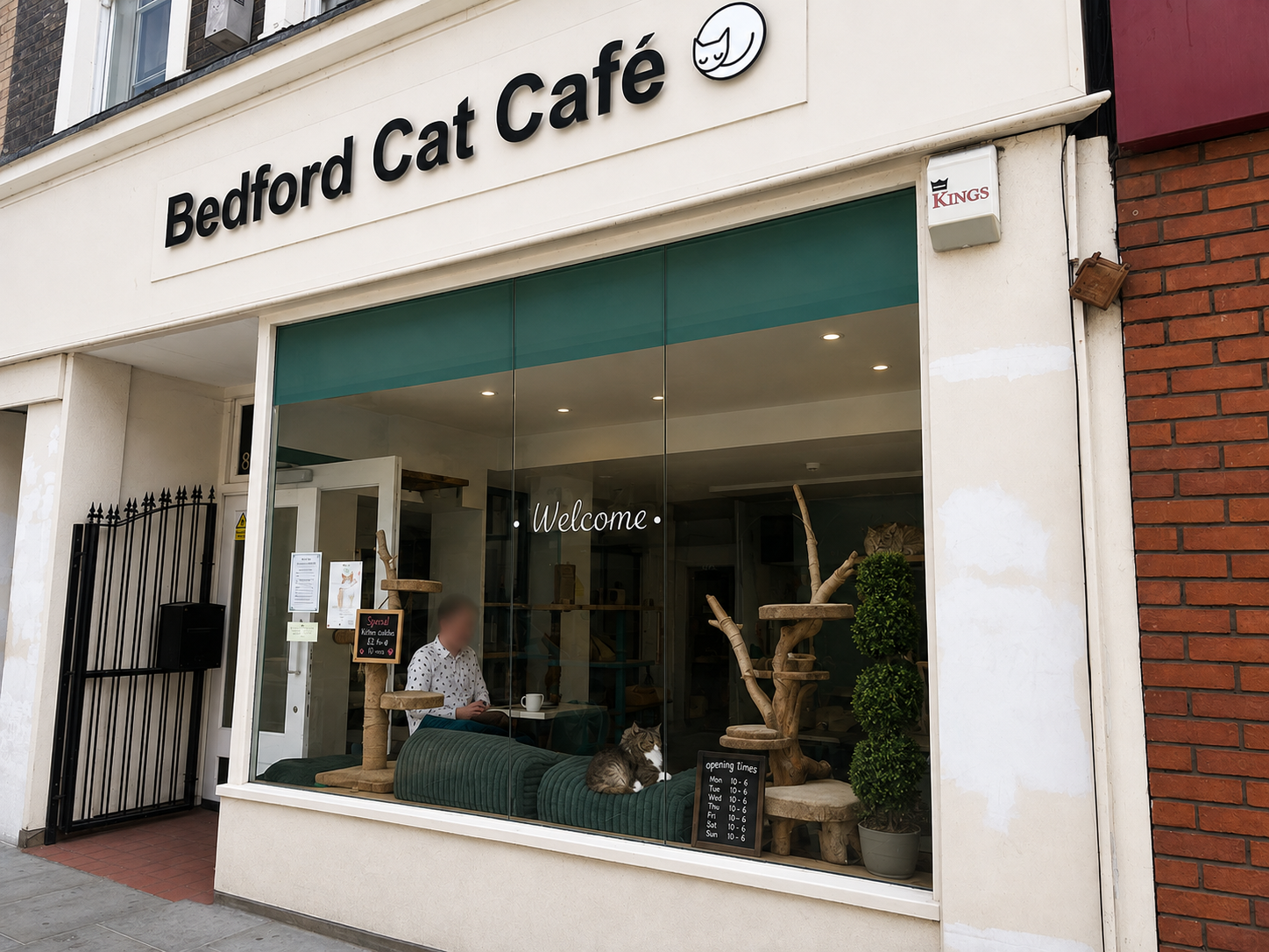 Bedford Cat Café